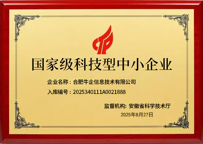 国家级科技型中小企业